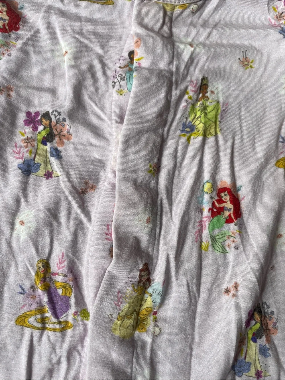 Magnetic Me Disney Princess Modal Zippy